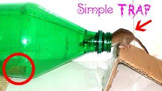 Bottle MouseTrap EASY - Friendly Mouse Trap
