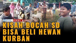 Viral Bocah SD Usia 8 Tahun Bisa Beli Hewan Kurban Sendiri Nabung Setiap Hari Rp 5 Ribu