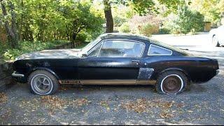 The Barn Find 1966 Shelby GT350H Mustang sitting for decades - The Auto Archaeologist