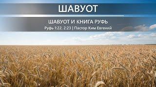 Шавуот  Шавуот и книга Руфь  Руфь 122 223