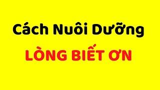 3 Cách Nuôi Dưỡng Lòng Biết Ơn