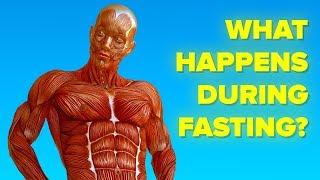 What Happens To Your Body When You Dont Eat Fast