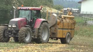 Steirische Kürbisernte 2022 in Ost Steiermark mit Case IHC Puma CVX 230 & Agro Stahl Phönix Kürbisvo