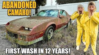 First Wash in 12 Years BARN FIND Camaro ft. Robby Layton  Car Detailing Restoration