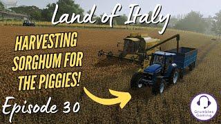 WHAT A BUSY SUMMER  Land of Italy  FS 22  Episode 30