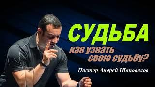 СУДЬБА «Как узнать свою судьбу» Пастор Андрей Шаповалов