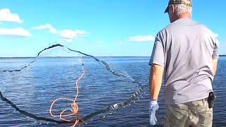 Catching Wild Shrimp in the St. Johns River