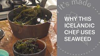 Cooking Seaweed  Cooking Kelp With Icelandic Chef Völundarson