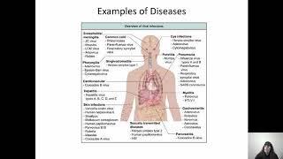 Viruses and the Immune System Chapter 17