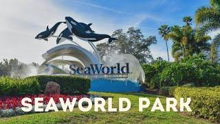 Лучший Морской парк в Абу Даби  SeaWorld Park Abu Dhabi