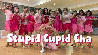 【Line Dance】Stupid Cupid Cha