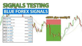 Signals Testing. Blue Forex Signals 2000+ pips weekly guaranteed?