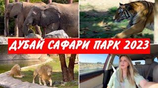 ДУБАЙ САФАРИ ПАРК  ВСЁ ЧТО НУЖНО ЗНАТЬ  SAFARI PARK DUBAI #сафарипарк #дубай