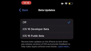 How to Install Beta System Software on iPhone and iPad