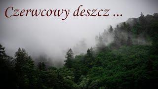 DESZCZ Pogodowy short Deszczowy Dzień W Czerwcu Odgłosy Natury  Rain Sound with Thunder Sounds