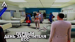 #2 ПЕРВЫЙ РАБОЧИЙ ДЕНЬ ЗАМЕСТИТЕЛЯ ЕСС РАЗБОРКИ И СОБЕСЕДОВАНИЕ на Amazing RP  Telles