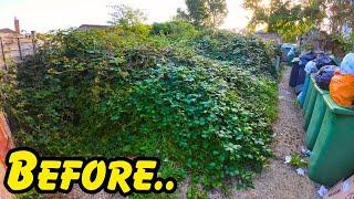 Would You Tackle This GARDEN? Rats Rubbish & Overflowing Brambles..