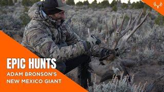 Epic Hunts  Adam Bronsons 220+ New Mexico Mule Deer