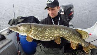 Gäddfiske  med Happy Angler PRO TEAM