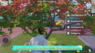 PUBGM l มาดูเลเวลการเติบโตของต้นไม้ในโหมดบ้านกัน 