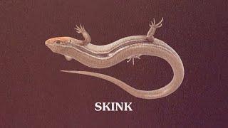 YTP Skink