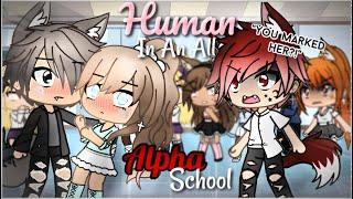 A Human In An All Alpha School  Gacha Life  GLMM  Part 2