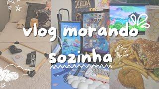 Vlog Morando sozinha  Dia de Faxina  Limpando o Setup  Links Awakening  Cozy Vlog