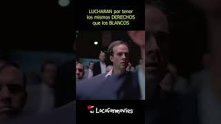 LUCHARAN por tener los MISMOS DERECHOS que los BLANCOS #pelis #movie #viral