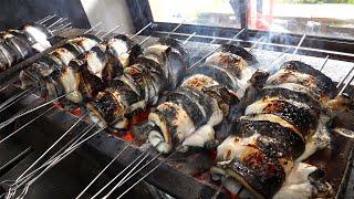 오픈 5개월만에 대박난 덮밥? 문 열자마자 만석 장어만 하루 400마리씩 팔리는 덮밥집┃Japanese grilled eel over rice Korean street food
