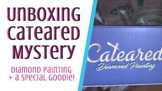 Cateared Mystery Diamond Painting Unboxing  + A Nice Little Bonus 