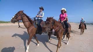 Equestrian Adventures of Florida Featured on Fox 35 Orlando