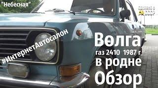 ВОЛГА 2410 в РОДНЕ  1987 г  ОБЗОР Небесная