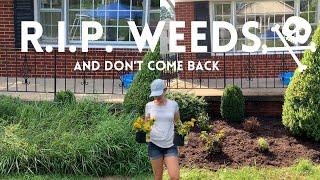 Easiest Way To Get Rid Of Weeds  Cheap & Fast‍️  Crystal Does