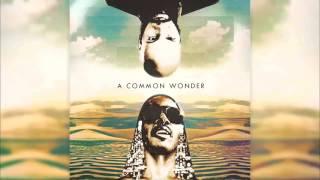 Common & Stevie Wonder - A Common Wonder  Amerigo Gazaway Full Album