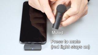 Tutorial How to Setup Quick Mute Monitor Charge FIFINE M6 Wireless Lapel Mic for Smartphone