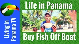 Life In Panama - Expats Buying Fish - Puerto Armuelles Panama