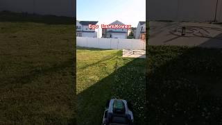 Egos Lawnmower