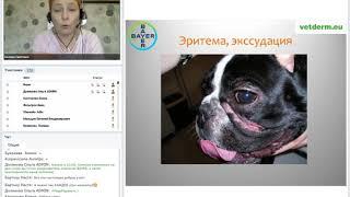 Ветеринарный врач-дерматолог Светлана Белова. Вебинар по темеПиодерма многоликая и изменчивая