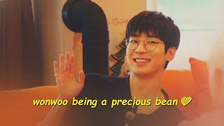 random reasons to love wonwoo