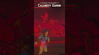 Did you notice this giant map of Hyrule while fighting Calamity Ganon? #shorts