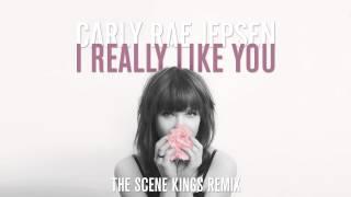 Carly Rae Jepsen - I Really Like You The Scene Kings Remix