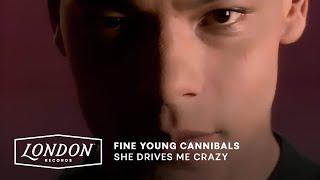 Fine Young Cannibals - She Drives Me Crazy Official Video