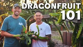 How To Grow Dragon Fruit COMPLETE GUIDE