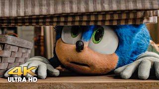 Robotnik and his drones try to catch Sonic. Sonic the Hedgehog 2020