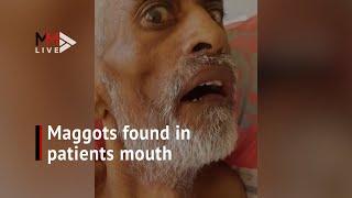 Maggots found in Durban patients mouth after amputation