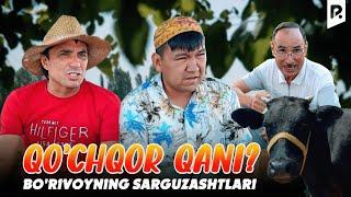 Borivoyning sarguzashtlari - Qochqor qani ?