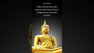 Great Buddha Quotes That Will Change Your Mind Life  Sayings About Life