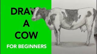 Draw a cow for beginners