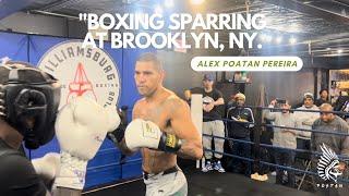 Boxing sparring in Brooklyn NY  Alex Poatan Pereira