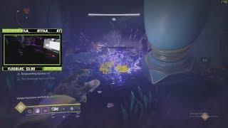 2 Man Prestige Dogs Pleasure Gardens Leviathan Raid